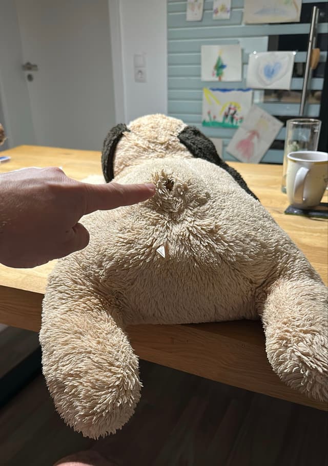 …. na ja, fokussiere ich andere KörperÖffnungen…