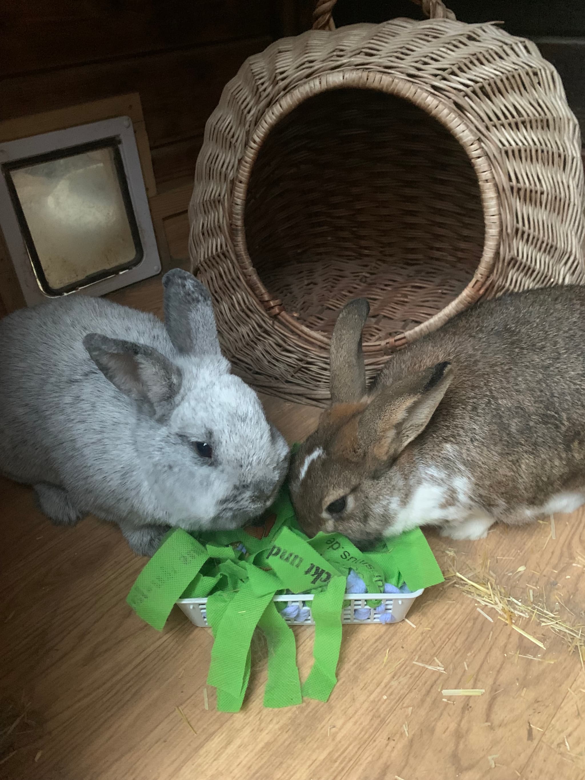 Schnüffelkiste Terrorlöffel 